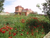 Satılır 10 otaqlı 800 m2 bağ evi Albalı