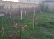 Satılır 10 sot torpaq Masazır