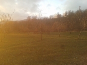 Satılır 10 sot torpaq İsmayıllı