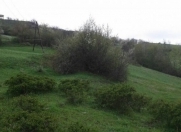 Satılır 200 sot torpaq Şamaxı