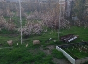 Satılır 10 sot torpaq Masazır