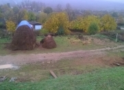 Satılır 6 sot torpaq Şabran