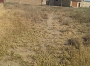 Satılır 3 sot torpaq Masazır