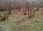 Satılır 30 sot torpaq Xaçmaz