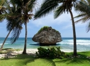 Satılır 11 sot torpaq Xaçmaz