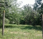 Satılır 11 sot torpaq Qəbələ