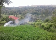 Satılır 6 sot torpaq Göygöl