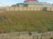 Satılır 7 sot torpaq Novxanı