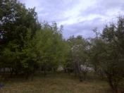 Satılır 23 sot torpaq Qəbələ