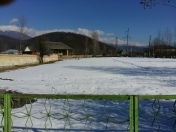 Satılır 40 sot torpaq Qəbələ