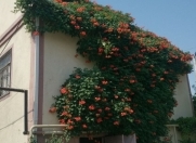 Satılır 5 otaqlı 400 m2 həyət evi Koroğlu m.