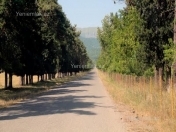 Satılır 8 sot torpaq İsmayıllı