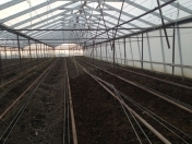 Satılır 300 sot torpaq Salyan