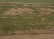 Satılır 35 sot torpaq Novxanı