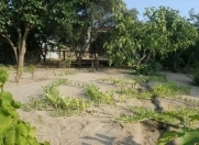 Satılır 22 sot torpaq Novxanı