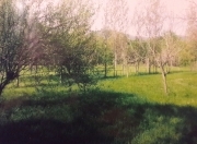 Satılır 200 sot torpaq Qəbələ