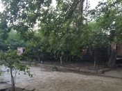 Satılır 30 sot torpaq Biləcəri