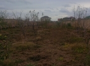 Satılır 27 sot torpaq Novxanı