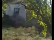 Satılır 2 otaqlı 2000 m2 bağ evi Koroğlu m.