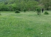 Satılır 12 sot torpaq Quba