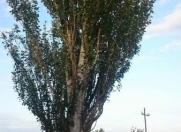 Satılır 23 sot torpaq Maştağa