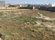 Satılır 7 sot torpaq Hökməli