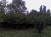 Satılır 16 sot torpaq Xaçmaz