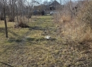 Satılır 70 sot torpaq Qəbələ