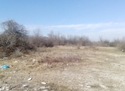 Satılır 100 sot torpaq Quba