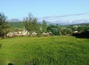 Satılır 15 sot torpaq Qəbələ