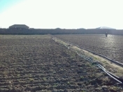 Satılır 100 sot torpaq Hövsan