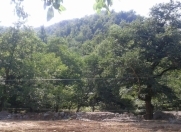 Satılır 5 sot torpaq Şüvəlan