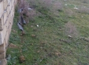 Satılır 5 sot torpaq Hökməli