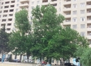 Satılır 3 otaqlı 101 m2 yeni tikili Hüseyn Cavid parkı