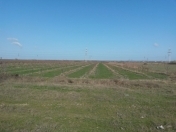 Satılır 1.8 sot torpaq Xaçmaz