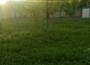 Satılır 17 sot torpaq Qəbələ