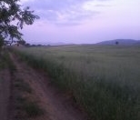 Satılır 80 sot torpaq Quba