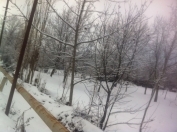 Satılır 12 sot torpaq Qəbələ