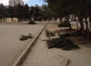 Satılır 4 sot torpaq İnşaatçılar m.