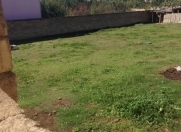 Satılır 10 sot torpaq Saray