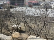 Satılır 4 sot torpaq Masazır