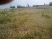 Satılır 12 sot torpaq Maştağa