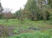 Satılır 24 sot torpaq İsmayıllı