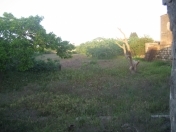 Satılır 17 sot torpaq Buzovna