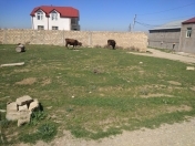 Satılır 4.2 sot torpaq Bakı