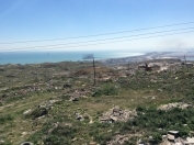 Satılır 1700 sot torpaq Badamdar