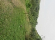 Satılır 12 sot torpaq Zaqatala