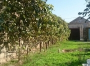 Satılır 15 sot torpaq Buzovna