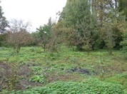 Satılır 24 sot torpaq İsmayıllı