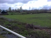 Satılır 37 sot torpaq Qəbələ